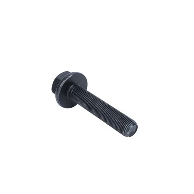 Black Oxide Big Head Hex Flange Bolt