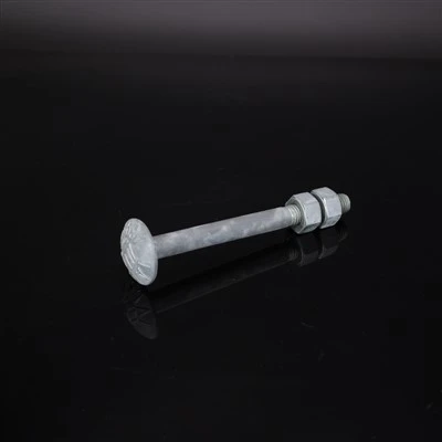 Hot DIP Galvanized Carriage Bolt With Nuts For Architecture DIN603