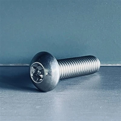 SS Anti-theft Bolt