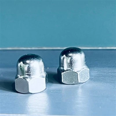 SS Hex Cap Nut