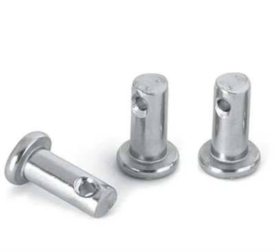 Stainless Steel Pin Bolt