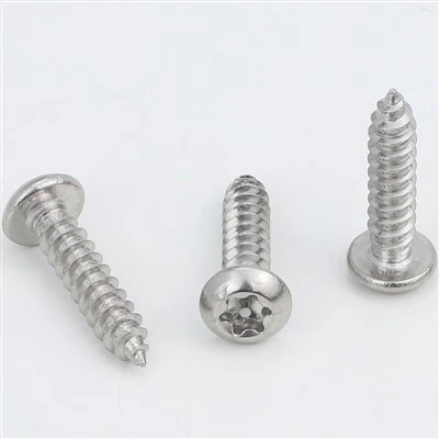 Stainless Steel Torx Self Tapping Screws
